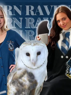 Ravenclaw inspired outfits