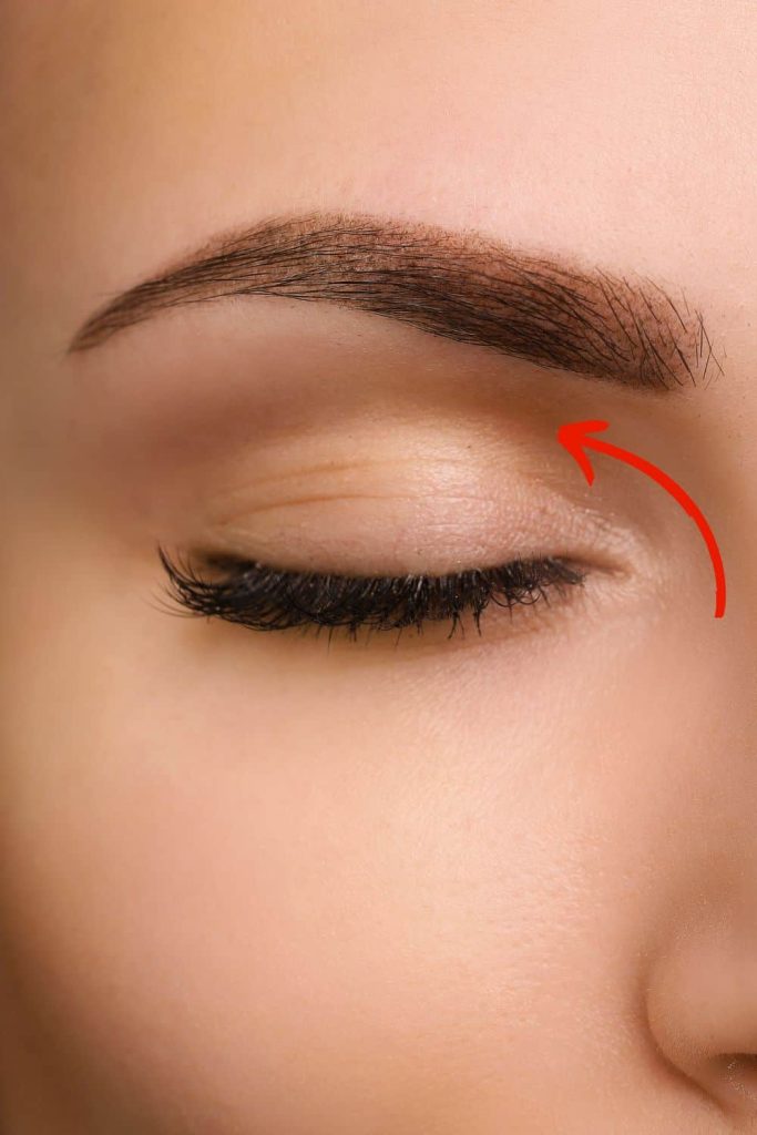 feminine eyebrows women