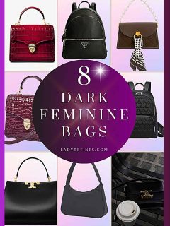dark feminine bags school bags